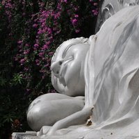 אירועים ותערוכות