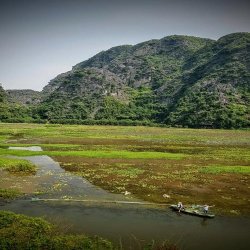 נוף הררי ירוק בויטנאם